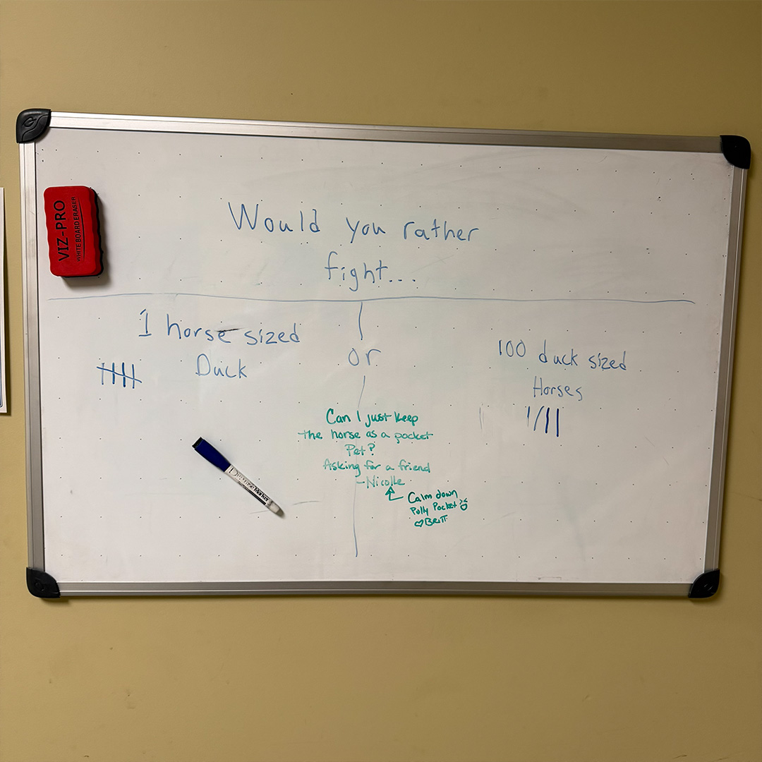 CallMattioni's tweet photo. This month, the Mattioni Whiteboard is asking if you would rather fight 1 horse sized duck or 100 duck sized horses. This one was pretty split... what do you think?

(P.S. We aren't quite sure if you can keep a horse as a pocket pet...) https://t.co/SsnHnQg8Cr