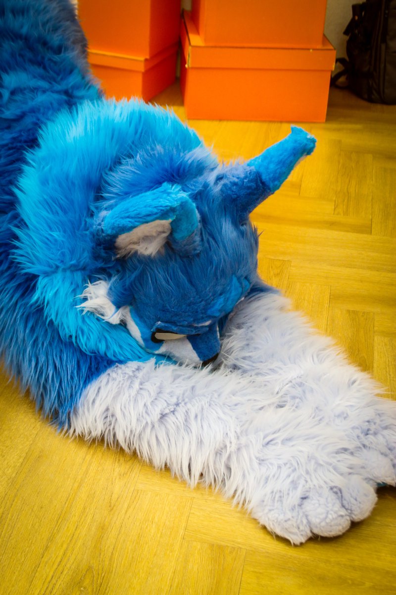 Kemo_Whaul's tweet photo. 🐺🐱?

📷 : @Cu_FUR_guri2921
#FursuitFriday #FursuitEveryday #fursuit #furry #kemono #ケモノ https://t.co/2aJ6mJo0cb