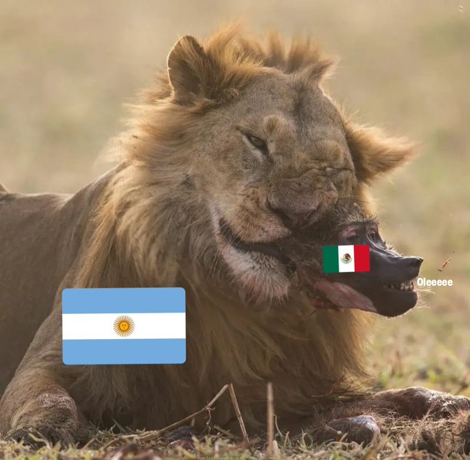 Chadoca_69's tweet photo. @Ivanzaaa2 MUERTE A MÉXICO https://t.co/iCYzMdHIKT