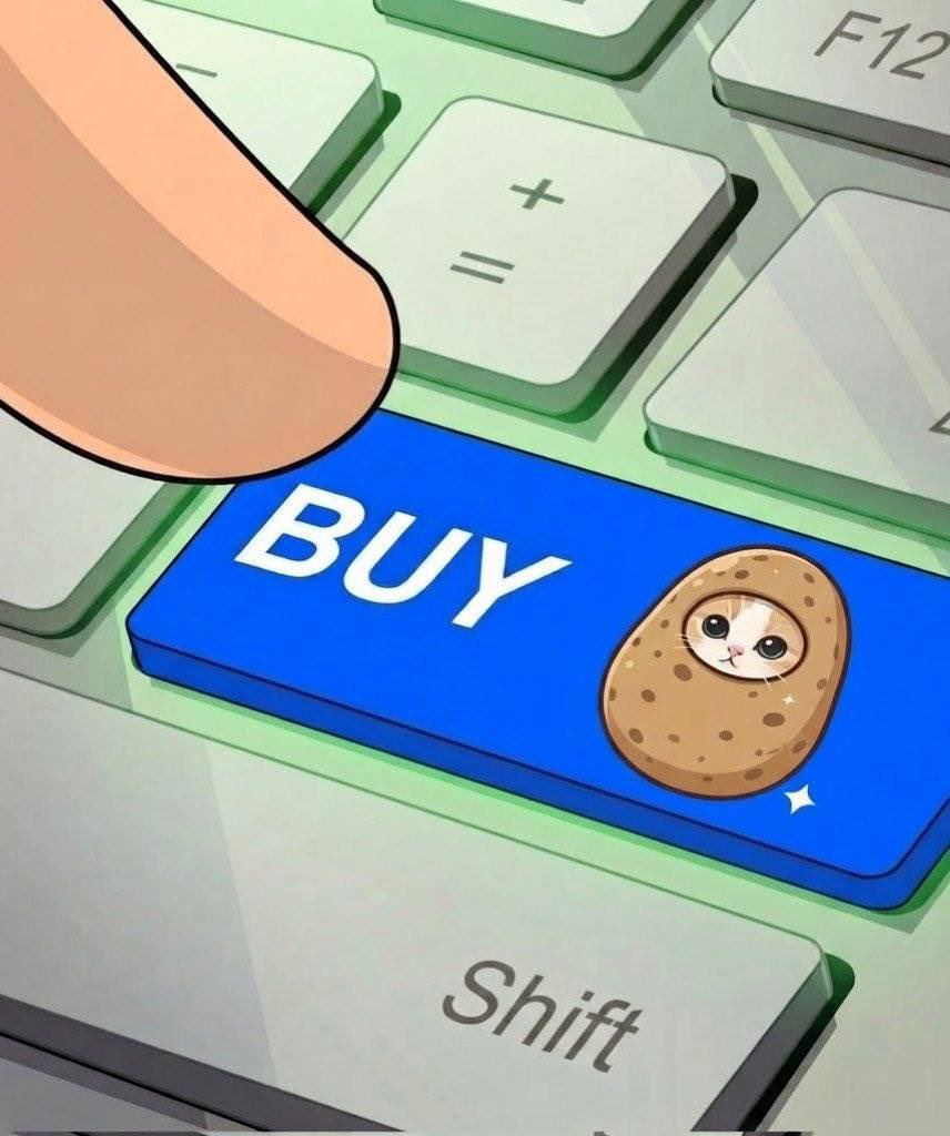 realsendsei's tweet photo. @Crypto_Alch @slingoorio 🥔 will be crimed most likely https://t.co/R1yK7DZu5r
