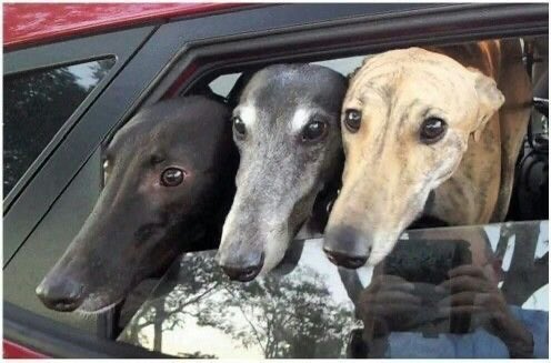 wetfIowers's tweet photo. 3 of cups https://t.co/FTZ2zCBUSG