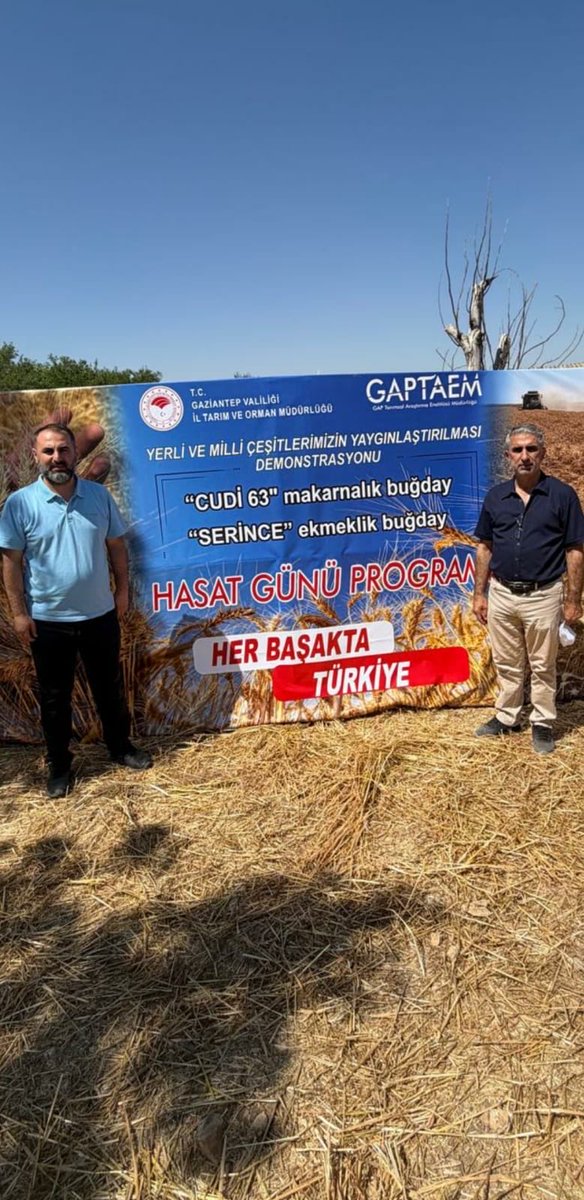 gaptaem's tweet photo. GAPTAEM’den Gaziantep’te Buğday Hasat Günü 🌾

02 Temmuz 2026’da Oğuzeli/Yakacık’ta, Enstitümüzce geliştirilen Cudi-63 ve Serince ekmeklik buğday çeşitleri üreticilerle buluşturuldu. Çeşitlerin verim, adaptasyon ve kalite özellikleri sahada değerlendirildi. https://t.co/7c68kOPQj0