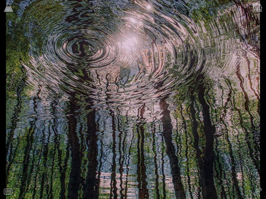 331mrr62wd's tweet photo. Empower every moment of weakness. Wandering through the woods, one can appreciate the seamless harmony between movement and stillness. The interplay of stationary trees and moving wind, along with birds and insects, creates a rich and vibrant natural landscape.🥿 https://t.co/4GJ4fnhdi1