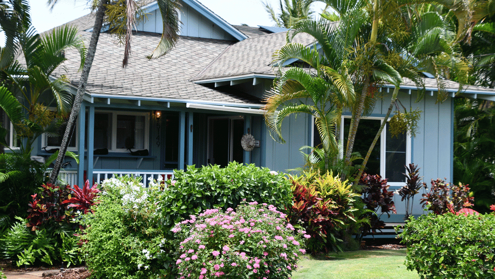 DustinMPeyser's tweet photo. How to Sell My House for Cash on Kauai ๐ Find Hidden Equity #SellMyHouse #KauaiRealEstate #CashForHouses #RealEstateTips #HomeSelling https://t.co/My3L0IhE4s