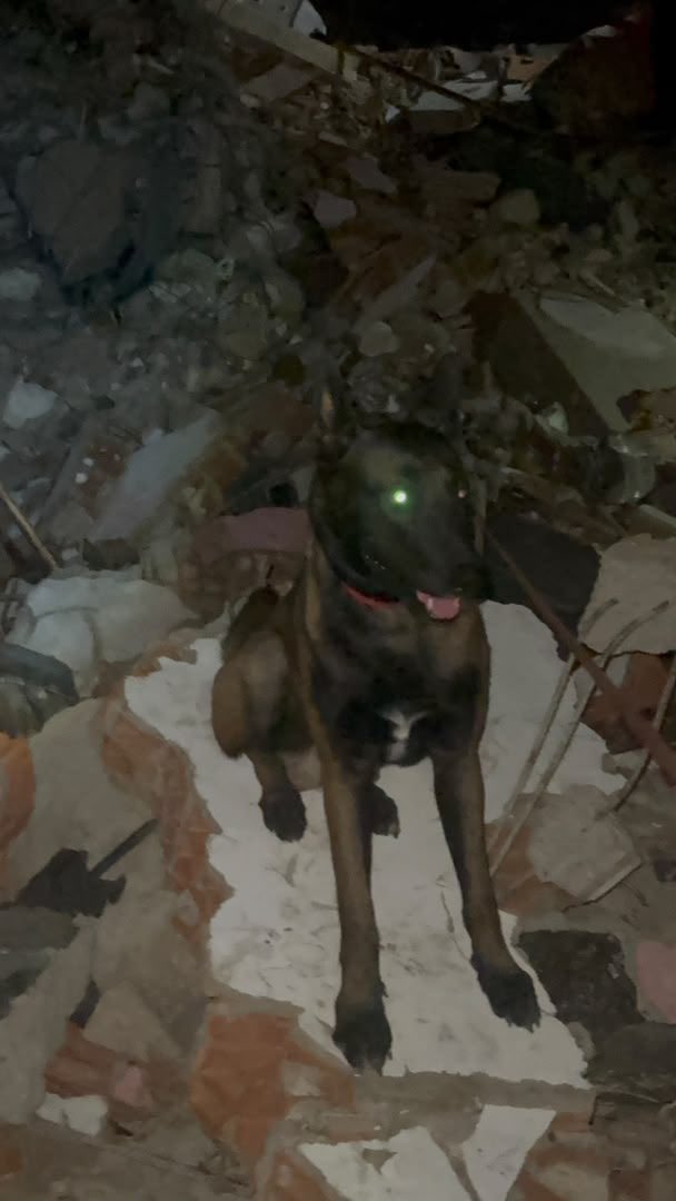 K_osVenezuela's tweet photo. //ATENCION// URGENTE 🚨

Ellos son rescatistas españoles amigos, vienen con 6 perros de búsqueda, el que pueda ayudar con logística estaremos eternamente agradecidos. 

0424/1691398 

Actualmente en Ccs. https://t.co/EaRgQcdAXm