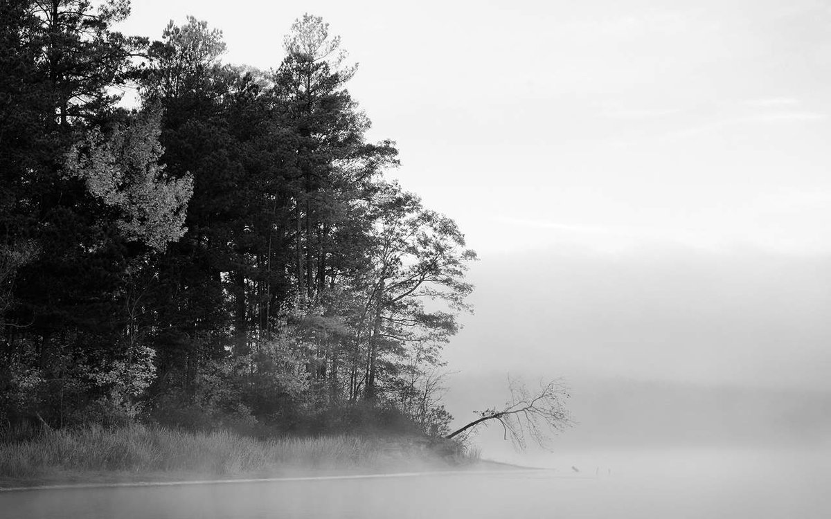 LouisTonnerre's tweet photo. 💔 🌳 💍 169. Eleanor dusted a shelf, slow and careful. https://t.co/DQ55Nid3ag