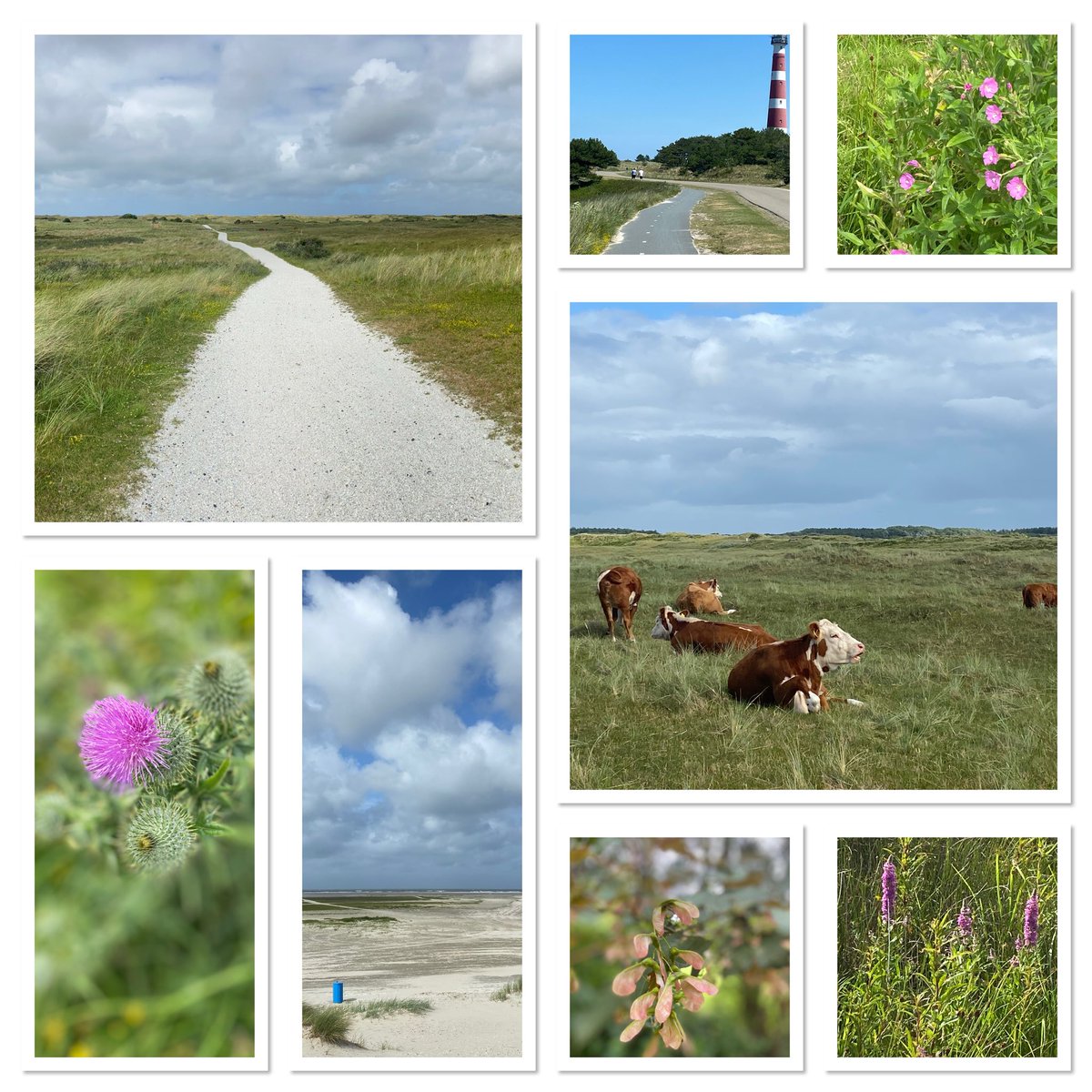 brouw19's tweet photo. #Ameland 💙💛 https://t.co/2U6kP0AkMa