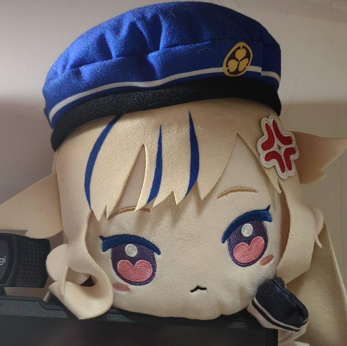nekoora8080's tweet photo. 一生怒ってる🤣かわいい https://t.co/wVzAe3zJVK