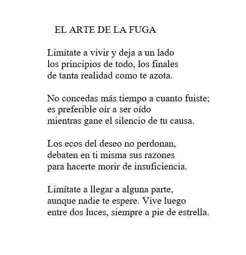 poetaMariaSanz's tweet photo. De POLIFONÍAS (1997)
#Poesía #MisVersos #SiempreLaPoesía https://t.co/cYYjNX8QYp