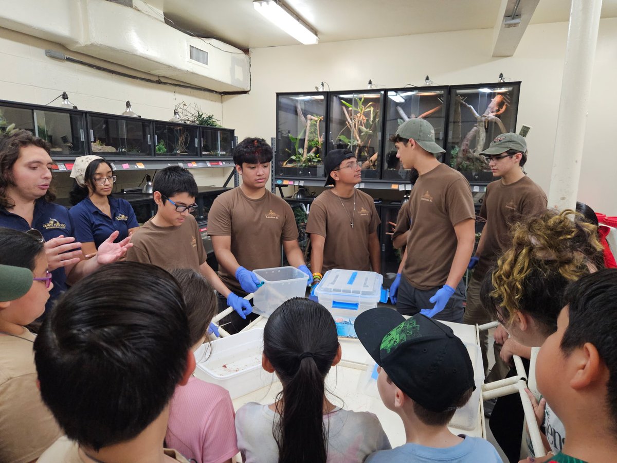 GladysPorterZoo's tweet photo. Our Summer Safari kids got to go behind the scenes in the Herpetarium to learn more about the unique animals our zookeepers care for!
Summer Safari Camps and Classes will continue until early August! Reach out to our Education Dept. at (956)548-WILD(9453) or educ@gpz.org.
#GPZoo https://t.co/KLcmluVfYv