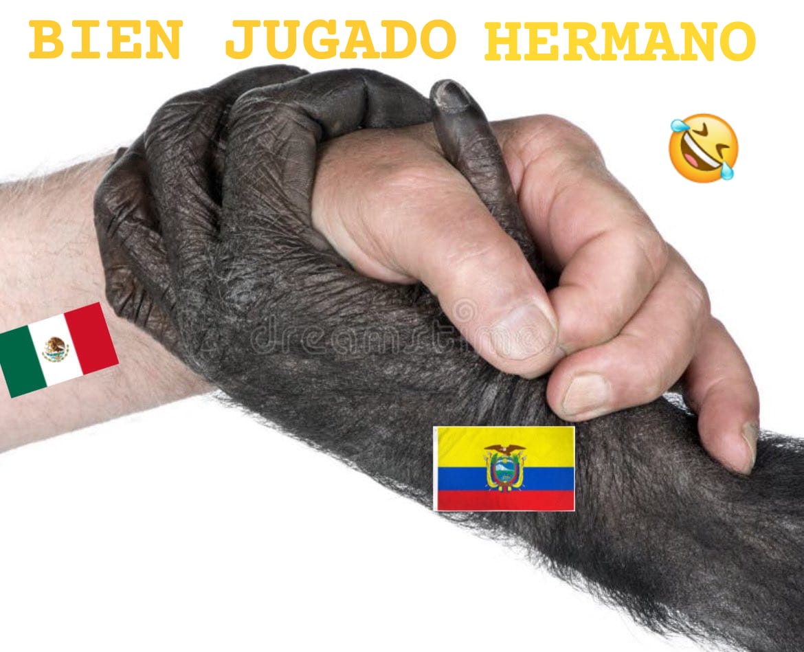 El Pavito Metichón®™ tweet media