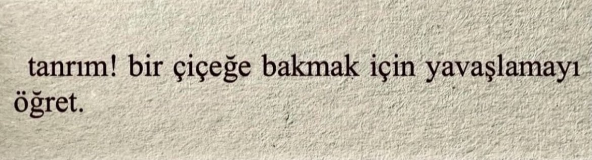 beyhudecimm's tweet photo. https://t.co/x6FUJTK3Ig