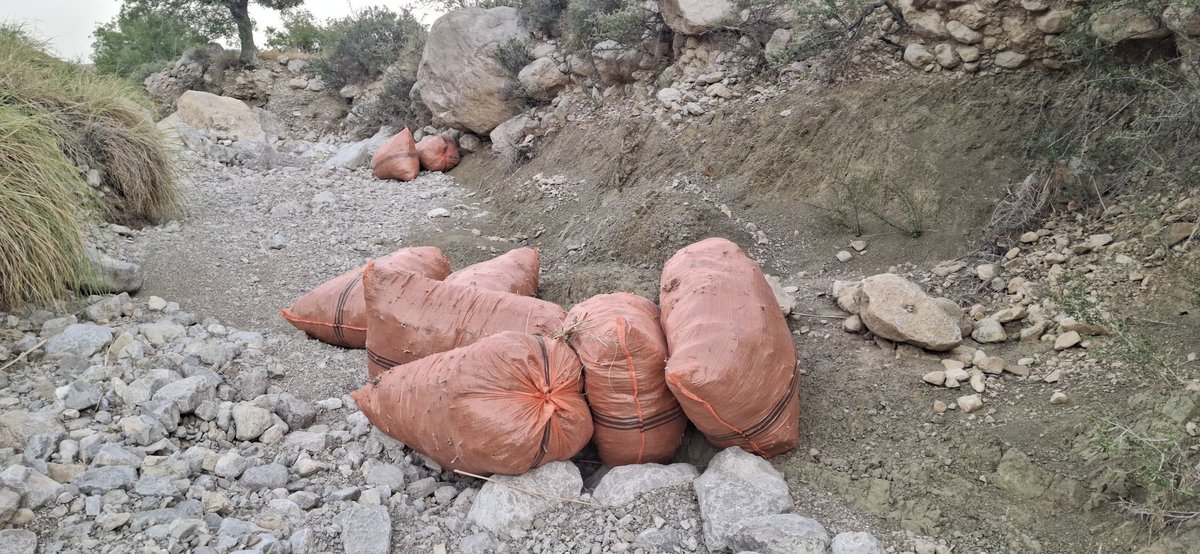 Justtust's tweet photo. In a joint operation, the District Administration, Forest Department and Police seized 29 bags of Ephedra  from the Spin Ghar mountain area of Sharan Rod Jogezai. Due to difficult terrain, part of the seized stock was destroyed on-site. FIR registered; investigation is underway. https://t.co/hyk3rYHxtV