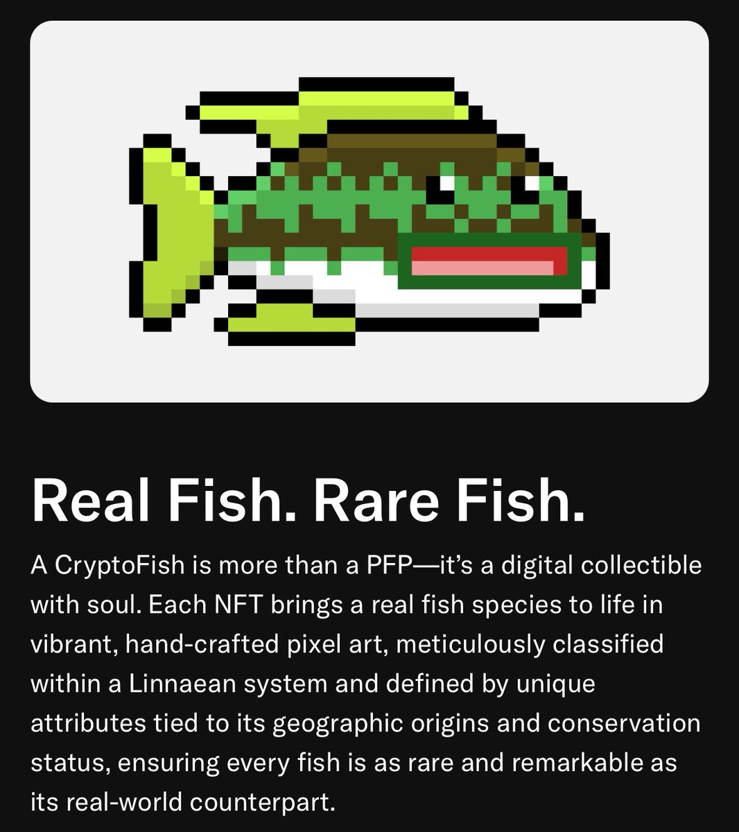 findurnemo's tweet photo. I turned down a million dollars when I cut supply from 10k to 2200 despite having generative @CryptoFish assets that we could have deployed at the time.

Best decision I ever made. 

The value of every piece being a real fish, and a true 1 of 1 is highly underestimated. https://t.co/nQLCjBC2FM