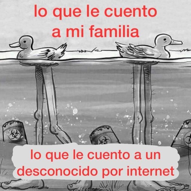 . tweet media