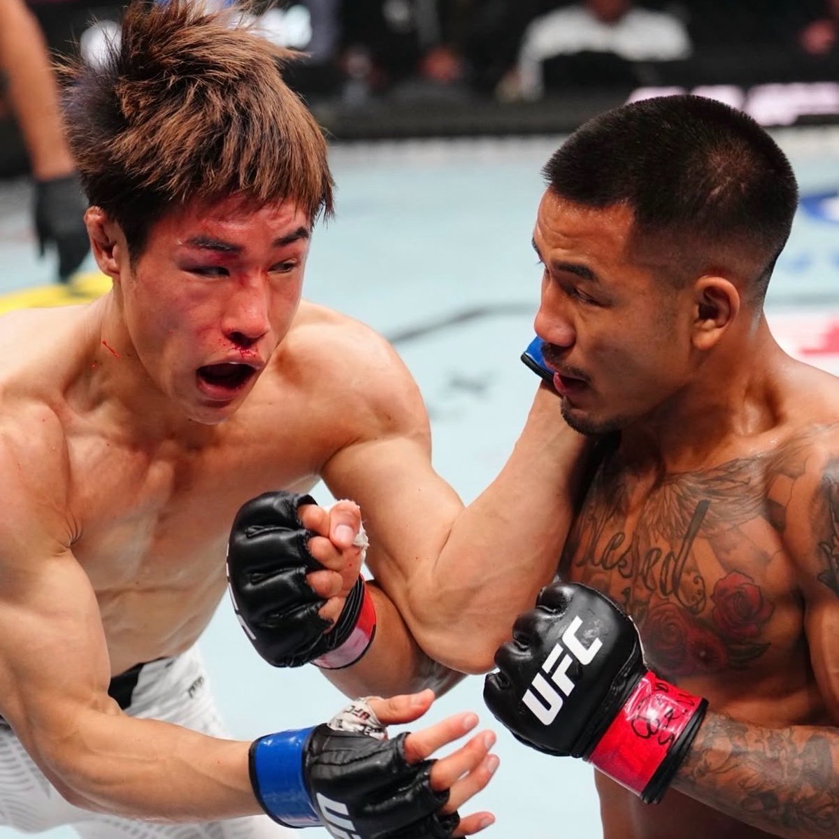 FightsMemory's tweet photo. ヴァン×平良達郎、「UFCが選ぶ2026年上半期ベストファイト」の1位に選出🏆

②ゲイジー×トプリア
③ホキット×ブレイズ
④ゲイジー×ピンブレット
⑤メイソン・ジョーンズ×アクセル・ソラ

@UFCNews より https://t.co/A3AEMMaAw9