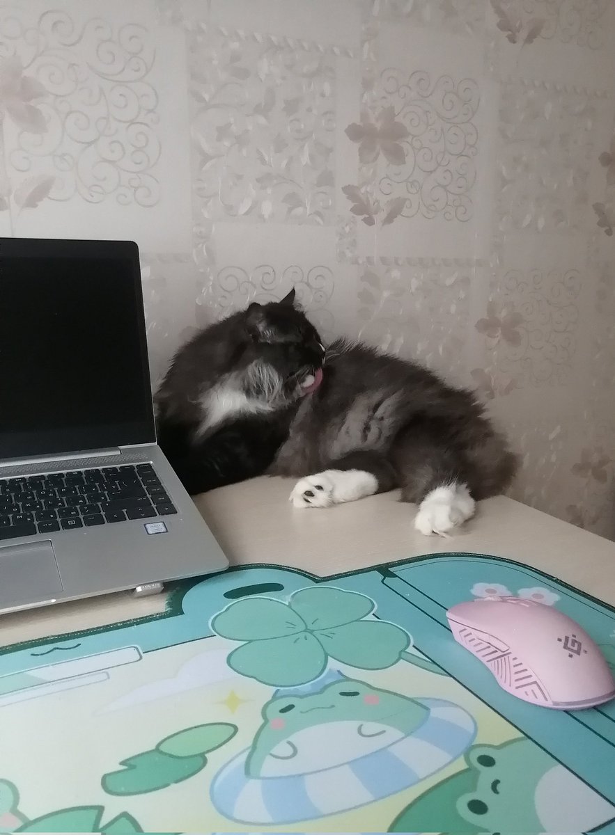 olmlnnk's tweet photo. занял мое место под вентилятором и доволен https://t.co/3Vpq5KbpQk