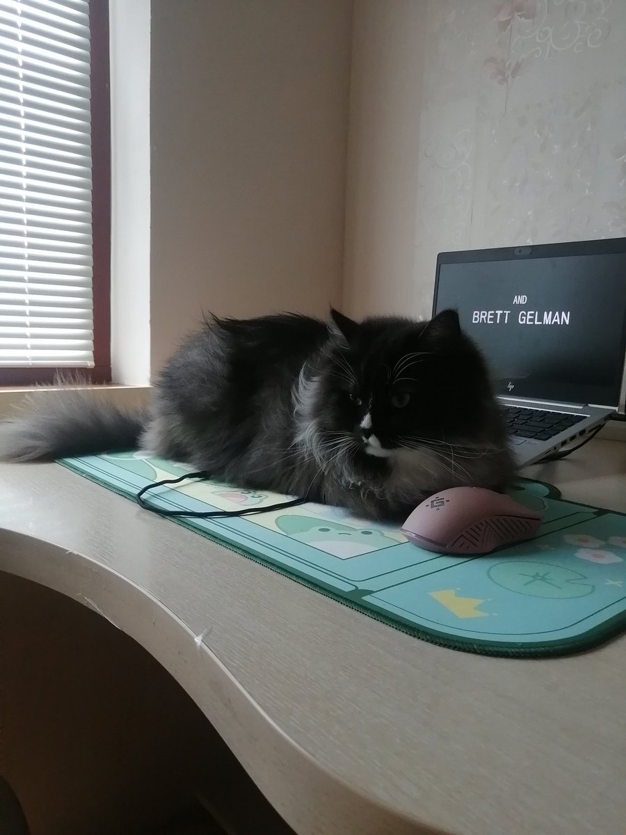 olmlnnk's tweet photo. занял мое место под вентилятором и доволен https://t.co/3Vpq5KbpQk