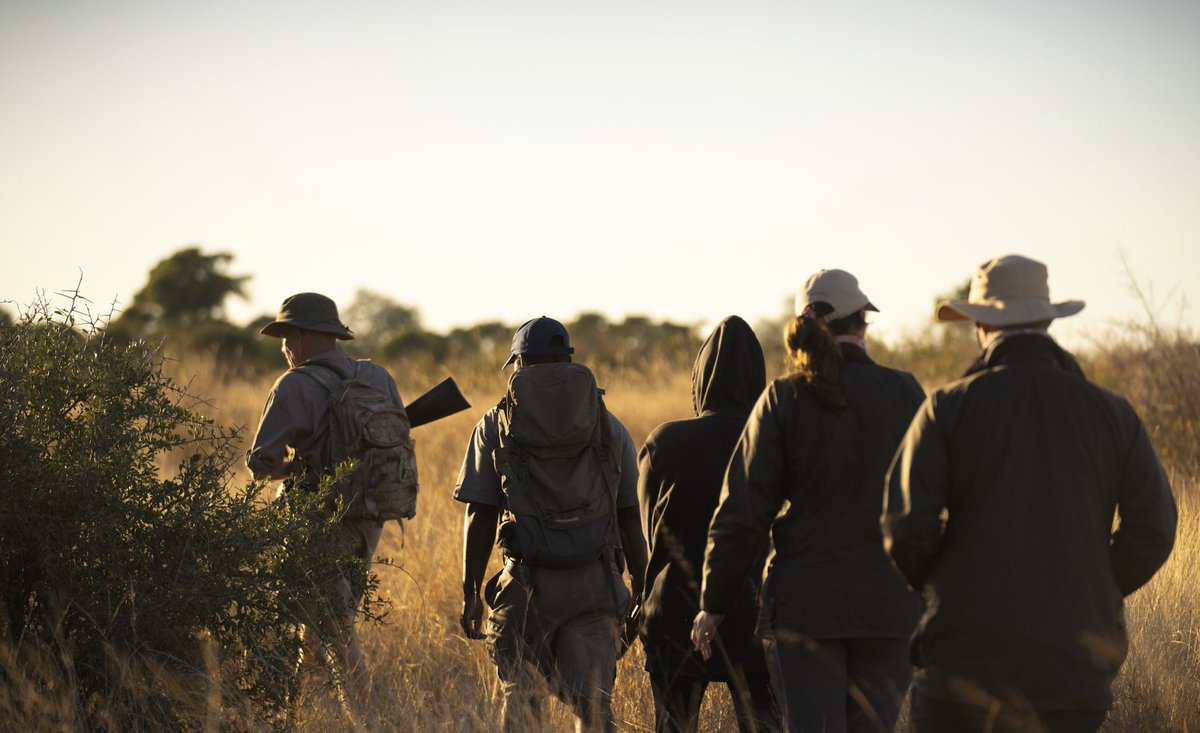 sumptuoustours's tweet photo. The future of luxury travel isn’t about seeing more. It’s about understanding more. An African safari should leave you with more than photographs. It should leave you with perspective.

https://t.co/HzaltihBxe https://t.co/knnrO0LmIj