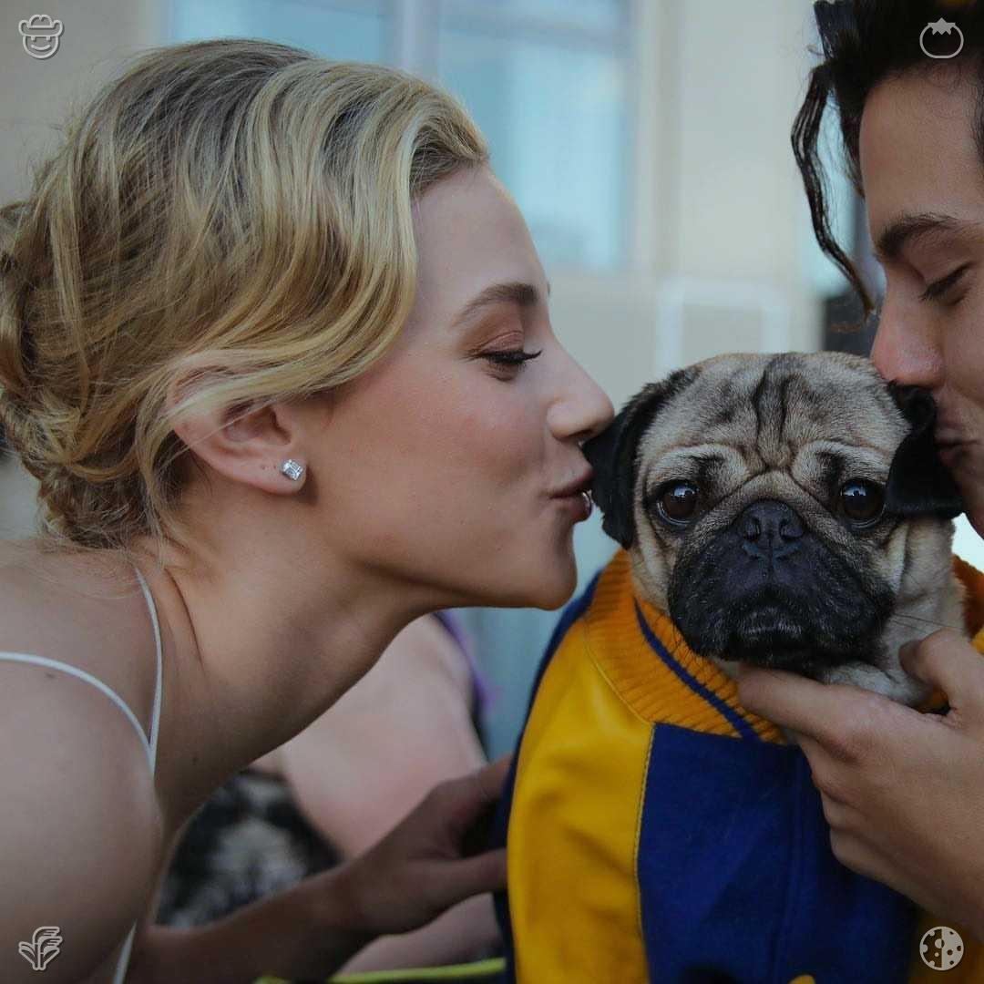 QueenPrecious99's tweet photo. Puppies' sincere eyes are filled with pure love for their owners. This innocent emotion provides the most precious warmth amidst the complexities of daily life. 🦵Morning yoga, drinking water. https://t.co/EZ173IslP2