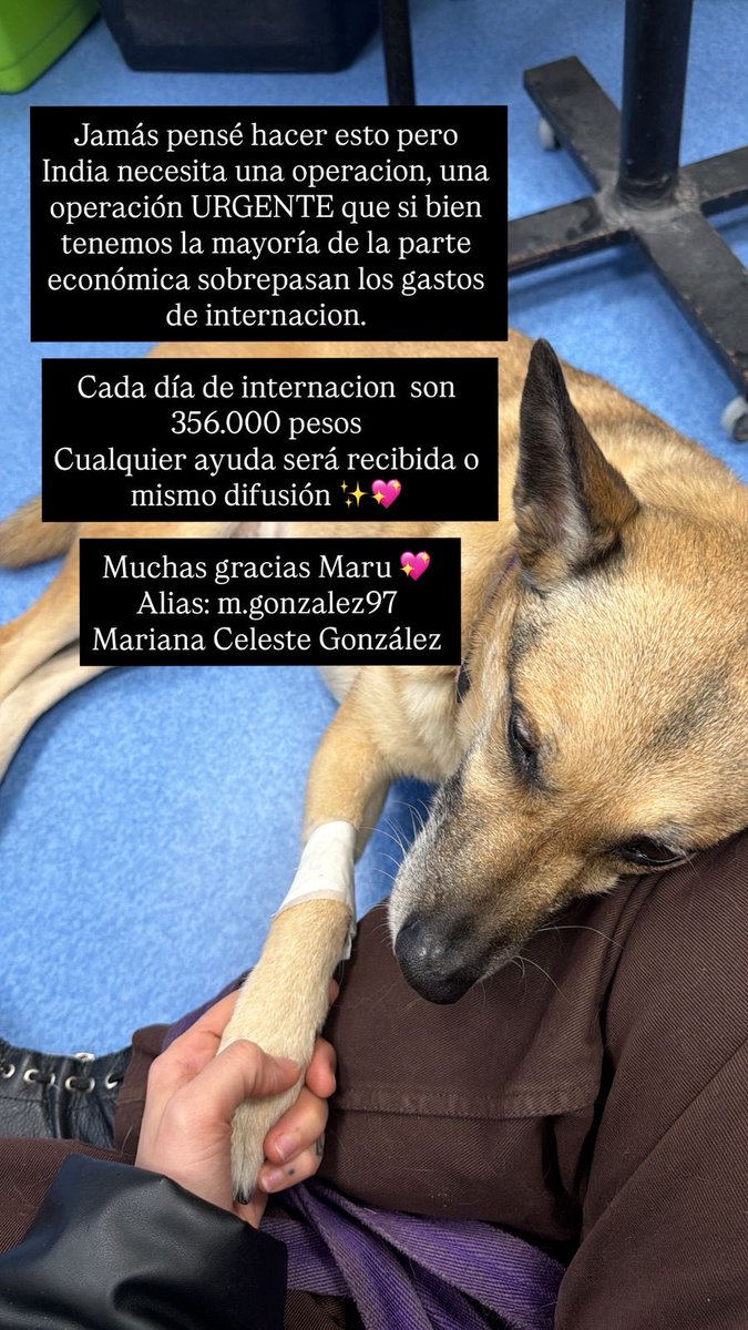 balcanizada's tweet photo. Necesito que me ayuden a compartir esto. Es una operación de bazo (posiblemente cáncer). RT. https://t.co/45lN1aFfzn