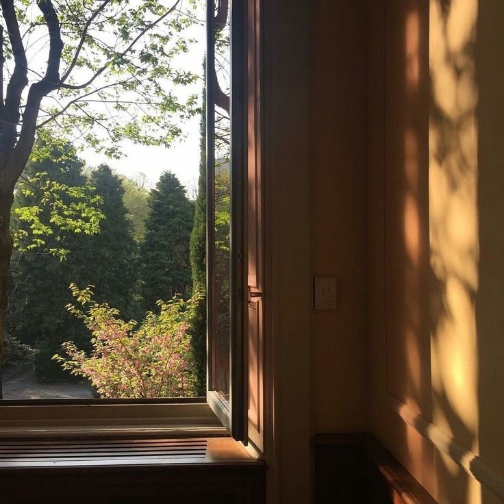 kooromi19's tweet photo. nature's way to say hello https://t.co/RnAcbJme5z