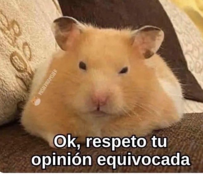 Elis_Jann's tweet photo. Yo cuando se bien que se equivocan y no quiero ser TAN grosera https://t.co/4B1FmEYvKj