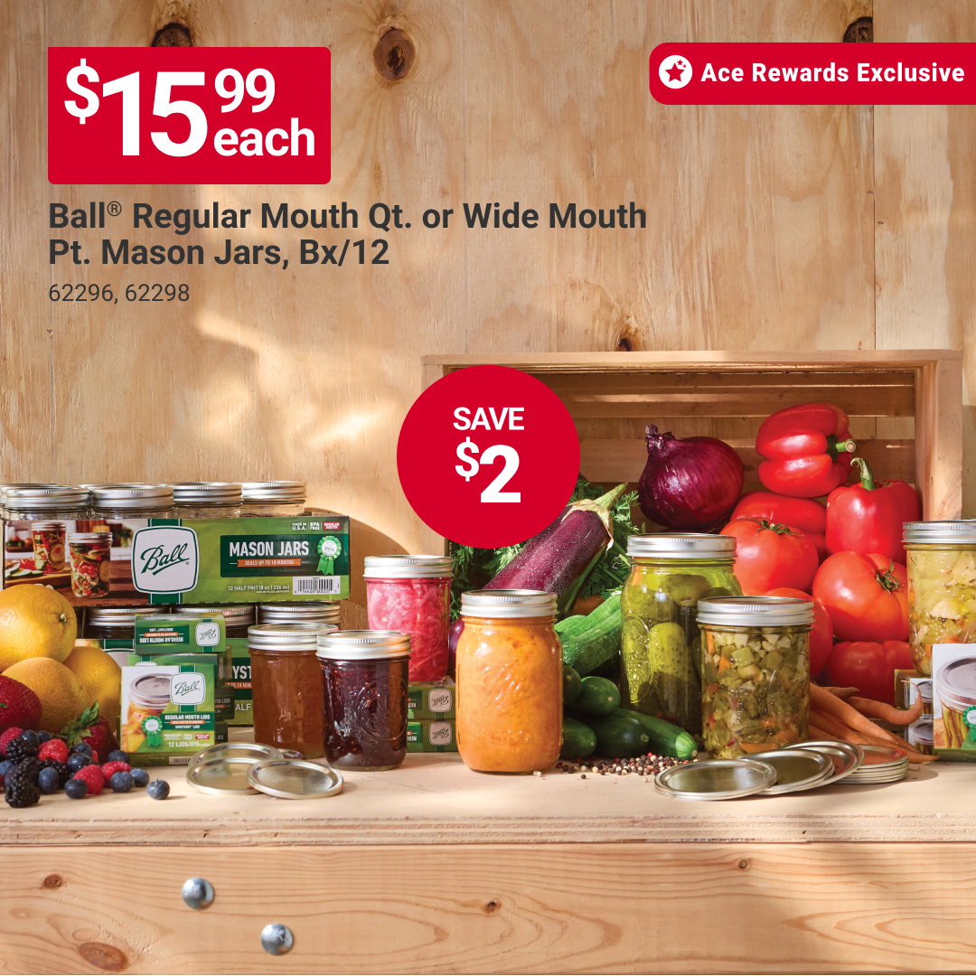 HardwareMurphy's tweet photo. Stock up for canning season. Ball Quart Mason Jars are $15.99 each—save $2 and keep your favorite ingredients fresh and organized. Learn more at https://t.co/xINA3QNrXB. #MyLocalAce https://t.co/63X6e2n3O2