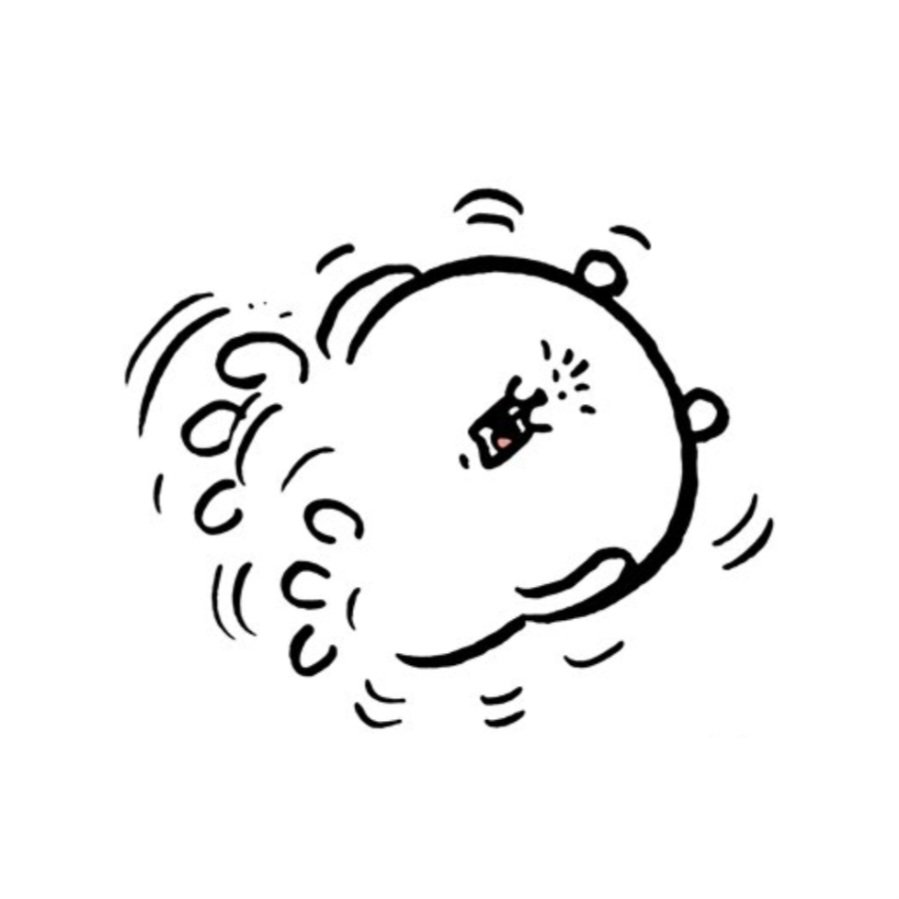 농담곰 짤 백업용 계정 tweet media