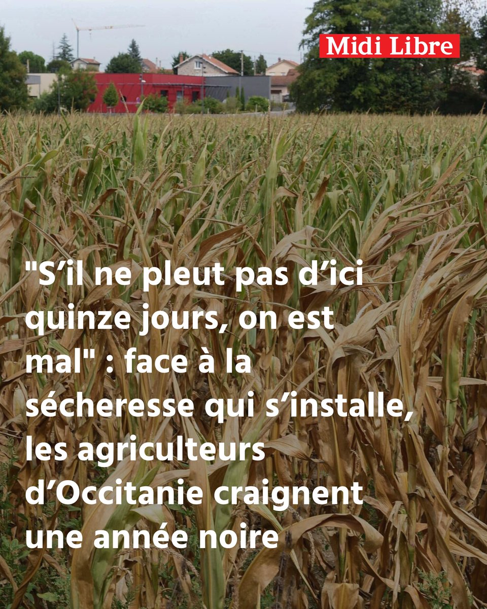 Midilibre tweet picture