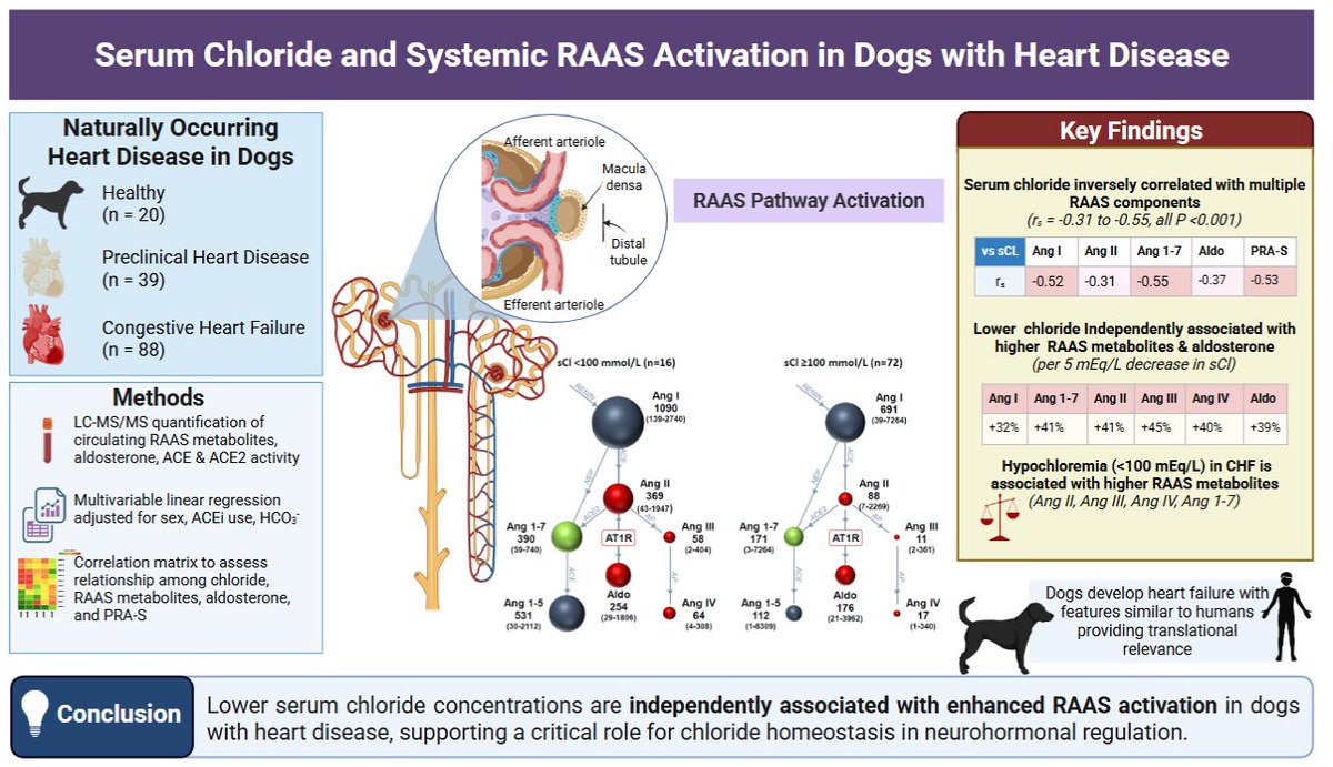 AJPRenal's tweet photo. We have a new #ArticleinPress from @UF! Influence of serum #chloride concentrations on the renin-angiotensin-aldosterone system in dogs with congestive heart failure (Darcy Adin et al.):

https://t.co/lOMqJLTrrt https://t.co/pHjK3VPpU3