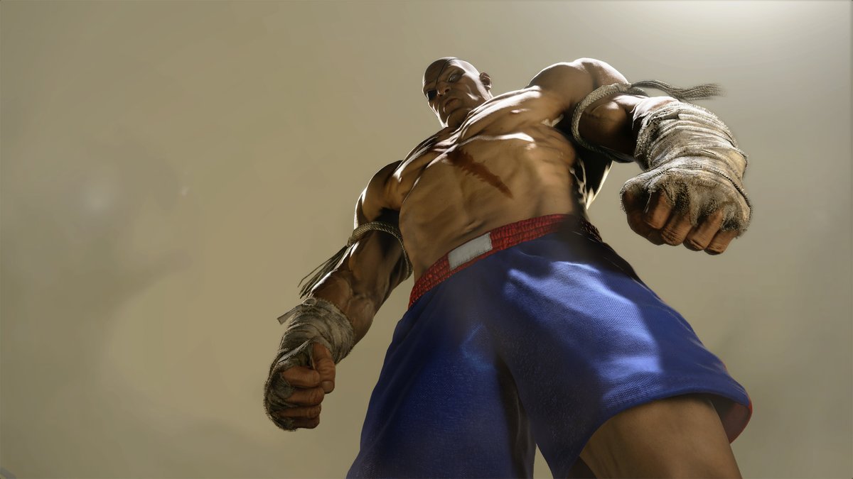 StreetFighter's tweet photo. Tiger Birthday! We're celebrating Sagat's BIG day today! 🎂

As he's no longer a member of Shadaloo, now he can enjoy his time in the mountains and continue to reign as the Emperor of Muay Thai. 🐯 https://t.co/fZp7gx5TuK