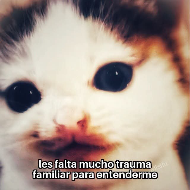 angelo_uf's tweet photo. https://t.co/UWDSGUEjqq