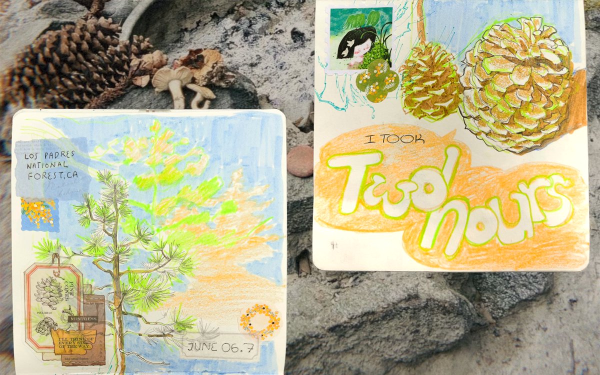 Spreads from recent camping adventures! 🏕️🎣🍳 