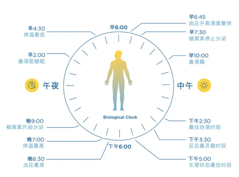 precilia07's tweet photo. Adjust your daily schedule by going to bed 30 mins earlier and waking up 30 mins earlier. Small changes boost your energy and focus all day! https://t.co/qeMCZ0PYM0