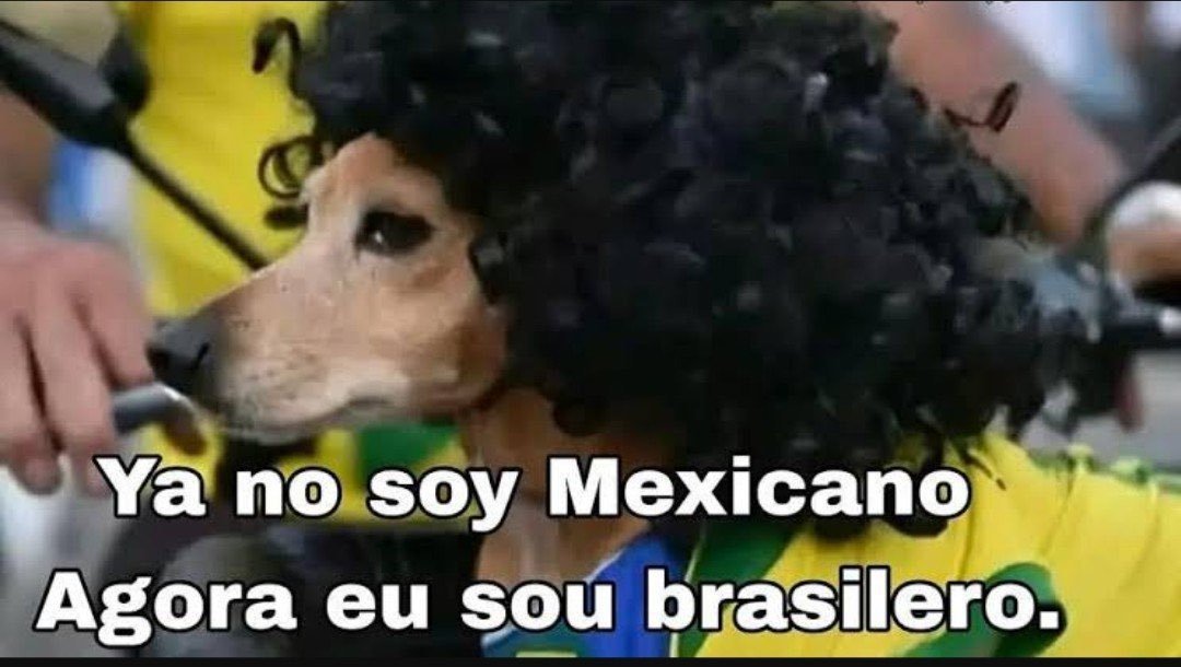 btscilantro7's tweet photo. @osSEIOSde3RACHA https://t.co/qvXQsSItVq