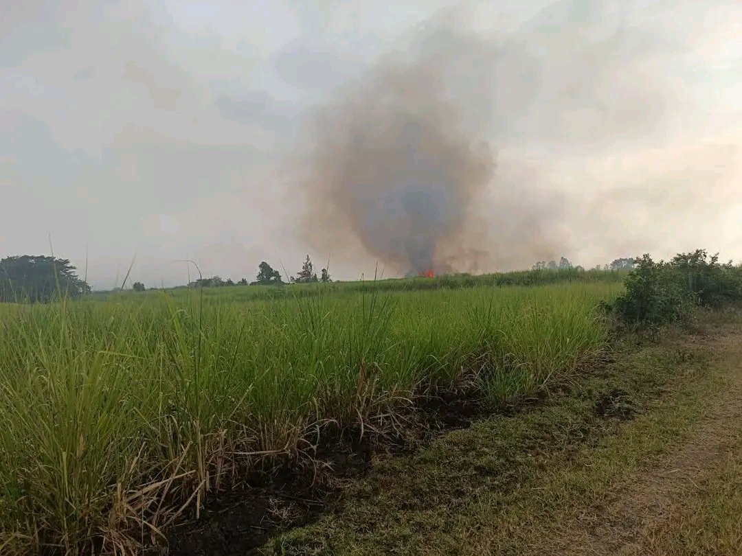 omwambaKE's tweet photo. Lightning strike ignited 5 acres of sugarcane in Magoi Village, Chemelil - Chemase Ward, Nandi County; locals were unable to contain the fire until heavy rains arrived 45 minutes later.
No injuries reported. https://t.co/MzpqqXySB5