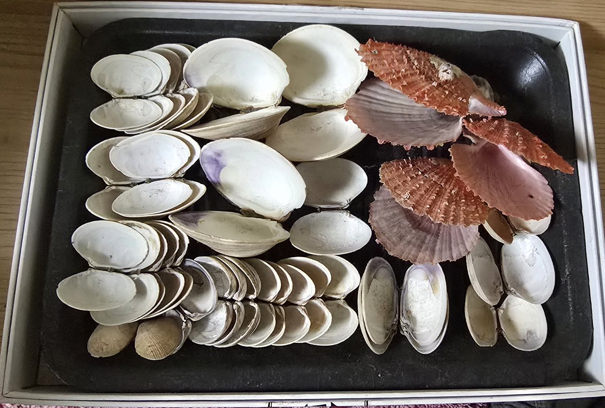 Stlong8868's tweet photo. 인연을 소중히해서 몇년간
가지고 있는데 🥰 https://t.co/RpcmDtXaZQ