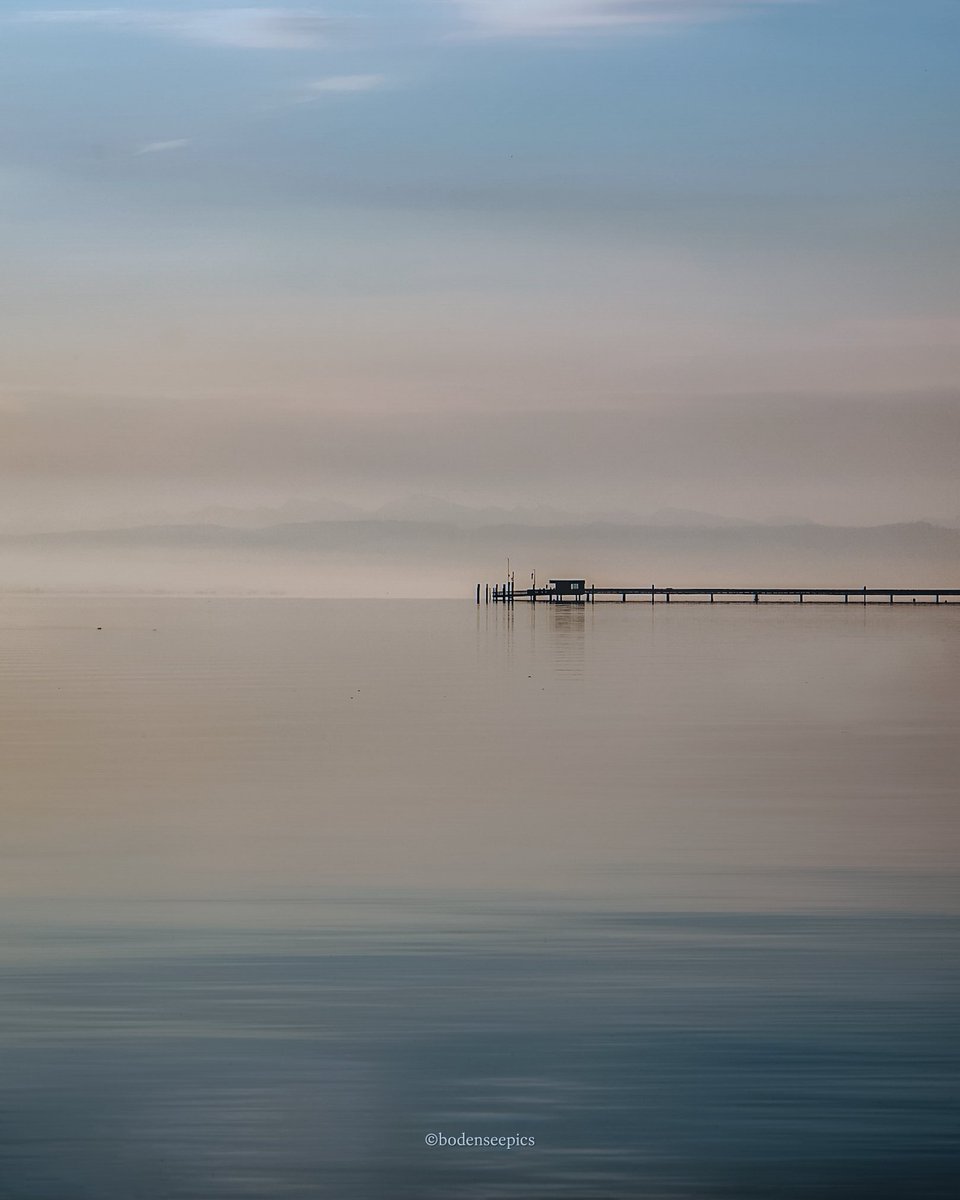 Pia Scheuer | BODENSEEPICS tweet media