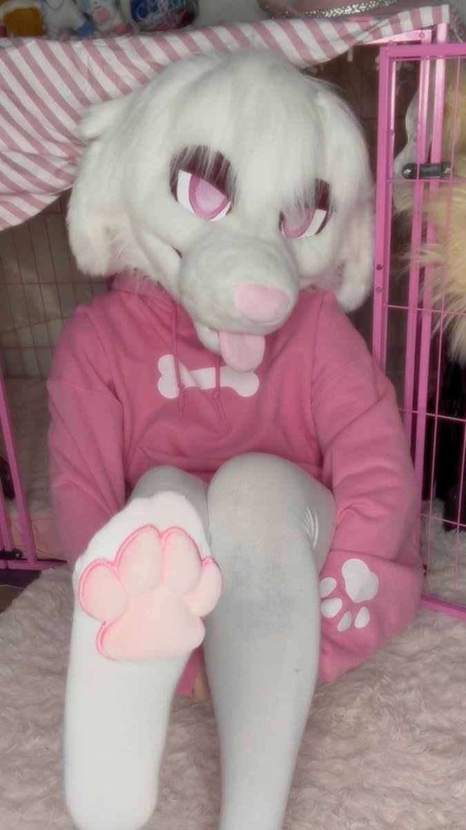 bunsmutt's tweet photo. paws at u https://t.co/on6kAvfVkm