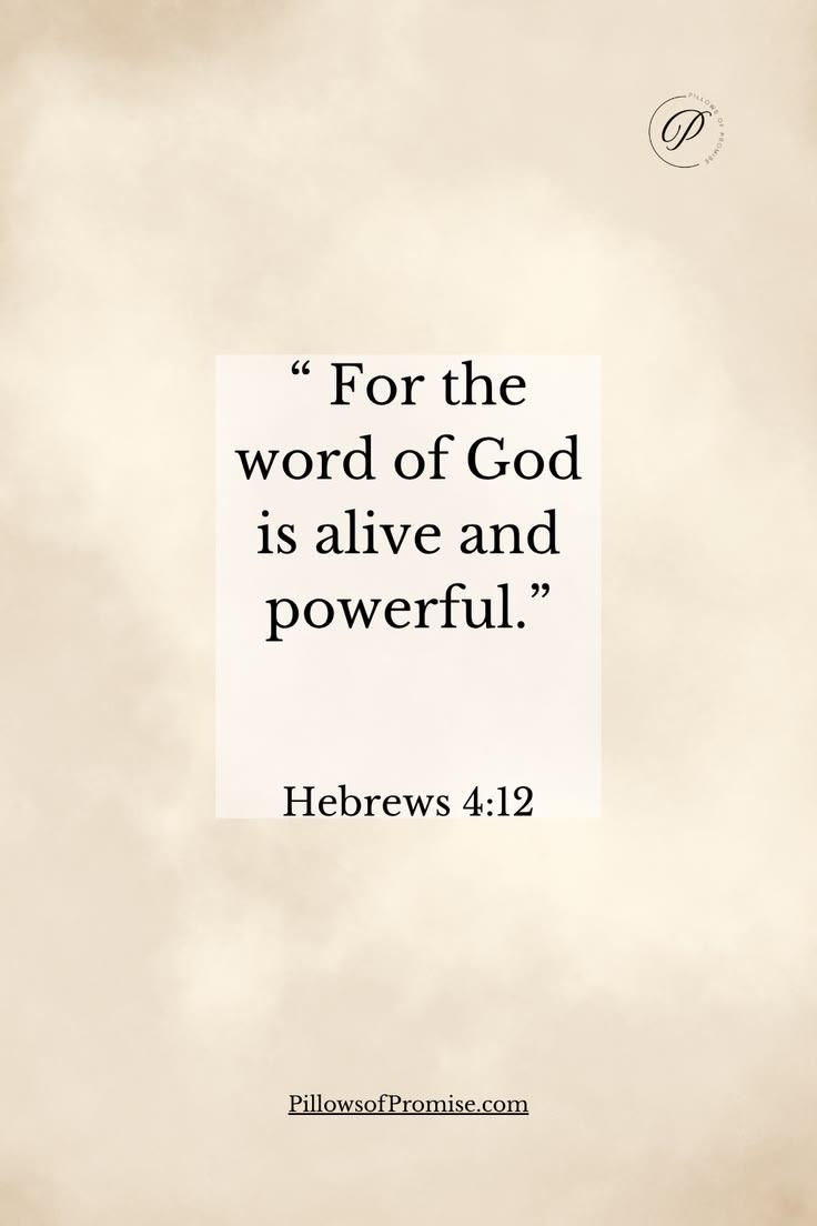 johnpic143's tweet photo. Amen https://t.co/Wm1YKpiuar