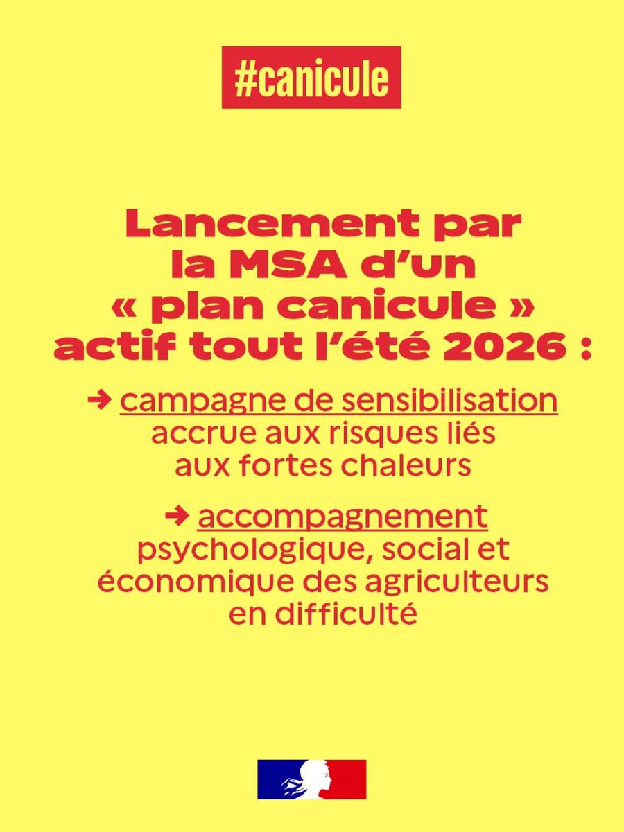 Agri_Gouv's tweet photo. #Canicule : nouvelles mesures en faveur des agriculteurs.

 👉 Accélération des indemnisations 
 👉 Mise en place de prêts de trésorerie 
 👉 Lancement par la MSA d'un « plan canicule » actif tout l'été 2026 https://t.co/ucjfDZstDa