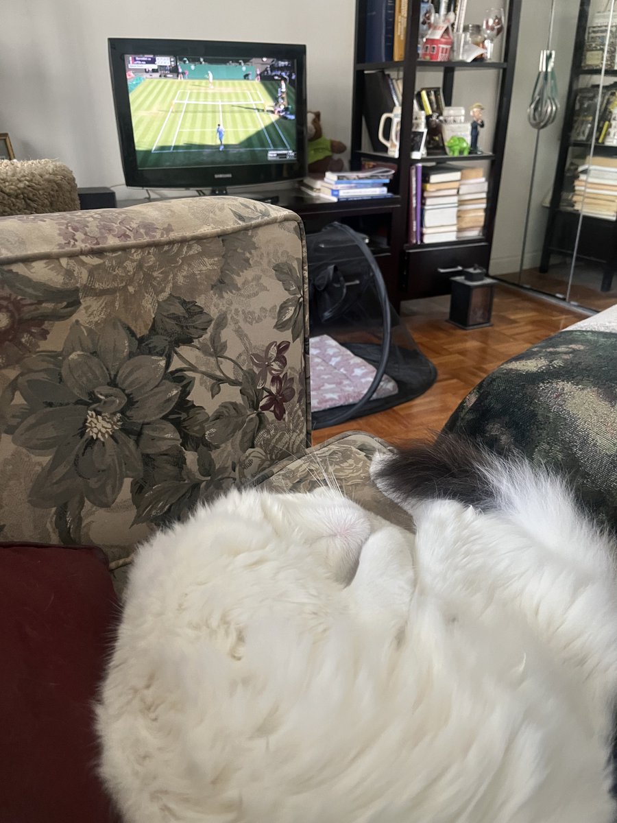 DGLebowitz's tweet photo. Me and Nova for the next three days. https://t.co/tvQTjGhLhF