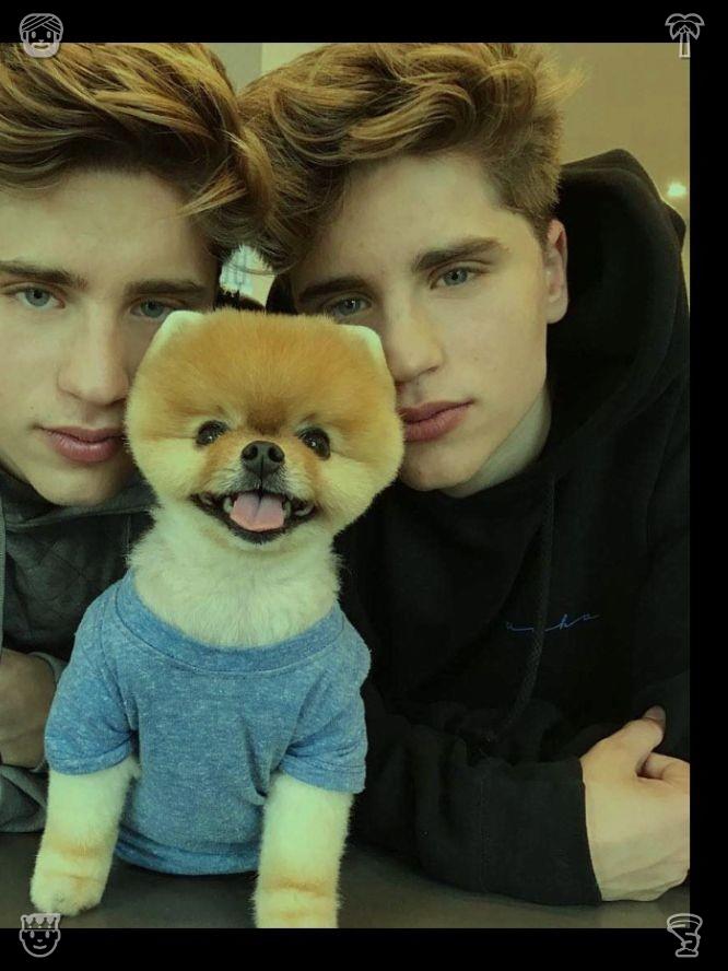 tmr0124's tweet photo. Urban landmark night tours offer the best views of stunning city nightscapes, where illuminated landmark buildings reveal the city's unique nocturnal charm. Microwave repair services are currently in progress. https://t.co/fgvjKYyNrx