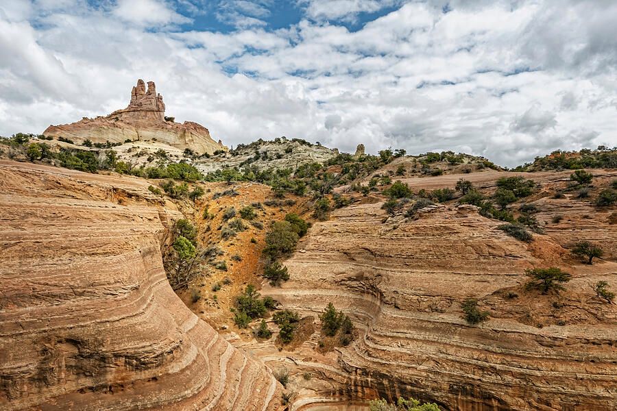 joancarroll's tweet photo. Red Rock State Park Gallup NM! https://t.co/rfS3shkVWz #redrock #statepark #newmexico #gallup #photography #hiking #rocks #rocky #landscapephotography @joancarroll https://t.co/iIpgdGBrSM