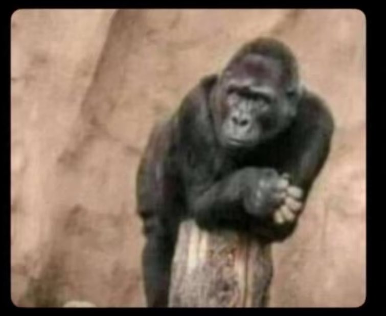 De6360Derick's tweet photo. When everyone is saying that Baganda are dry.
Meanwhile Notherners https://t.co/aMCxhYGQvh