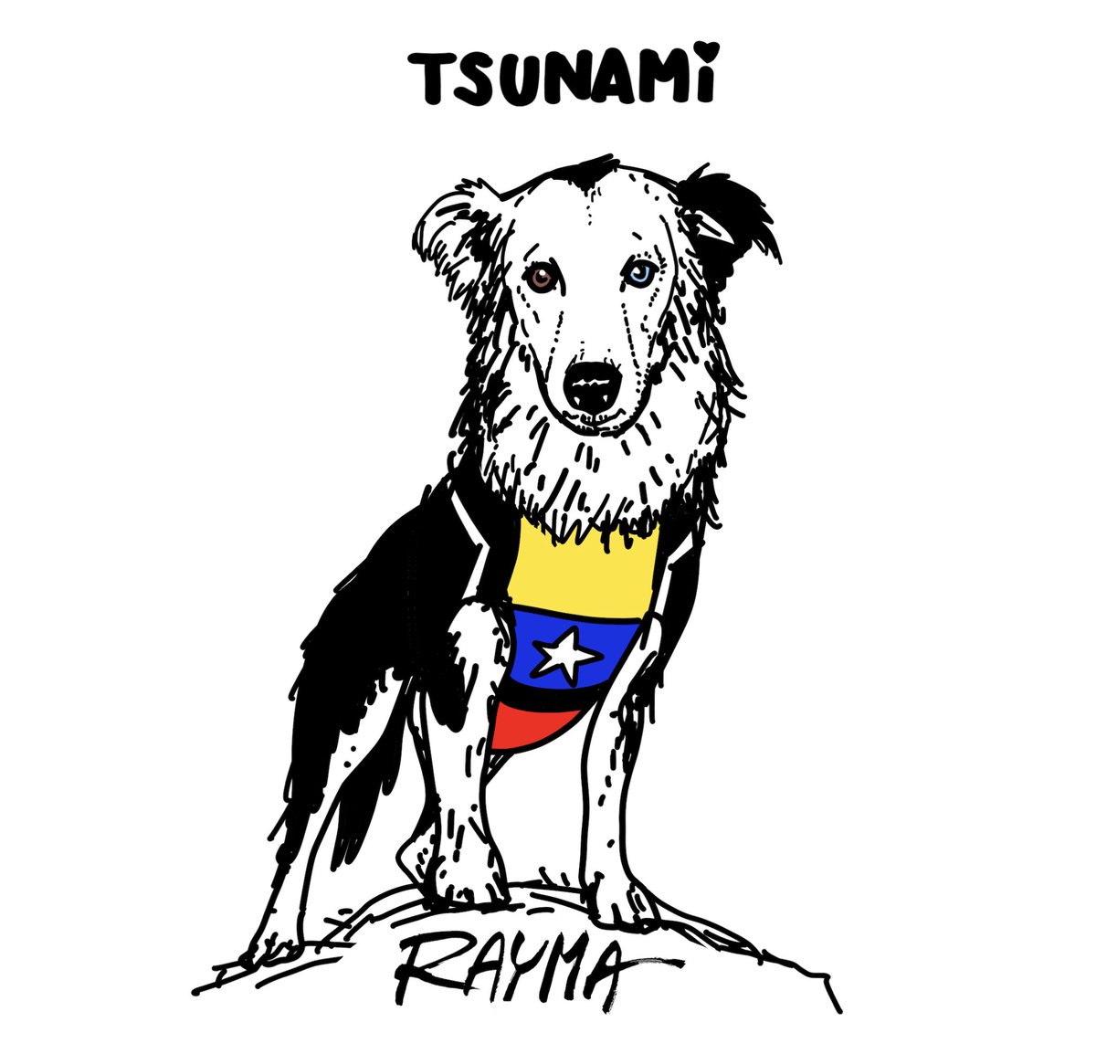 raymacaricatura's tweet photo. La nobleza de un perro no conoce fronteras ni condiciones. Su lealtad, amor incondicional y entrega silenciosa nos recuerdan lo mejor de la humanidad. En los momentos más difíciles, cuando el miedo y la incertidumbre parecen imponerse, un perro puede convertirse en un símbolo de esperanza.

Durante el terremoto en Venezuela, Tsunami nos recordó el inmenso valor de esa conexión. Con su olfato, disciplina y valentía, buscó vidas entre los escombros, demostrando que el heroísmo también puede caminar sobre cuatro patas. Su labor no solo ayudó a encontrar personas; también llevó consuelo a quienes esperaban un milagro.

Tsunami representa la fuerza de la solidaridad, la entrega sin egoísmo y la capacidad de servir a los demás. En medio de la tragedia, su ejemplo nos inspira a creer que la compasión y la esperanza siempre encuentran el camino para abrirse paso. 💛💙❤️ #raymatoday  @tsunami12021 @tsunami_rescatista_canino