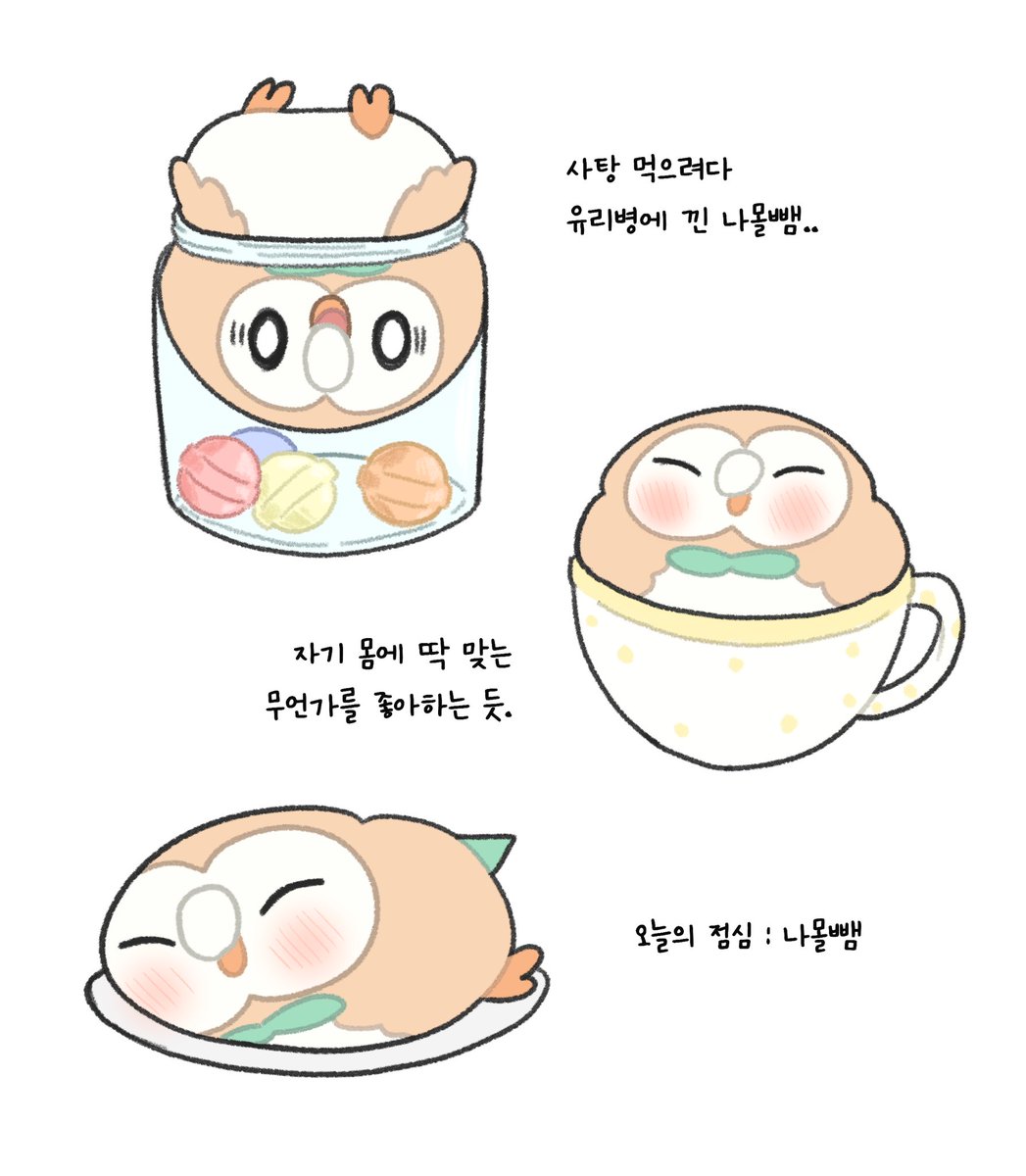 cocobab0299's tweet photo. 나몰빼미 관찰일지 1 https://t.co/yMaSrcCLx7