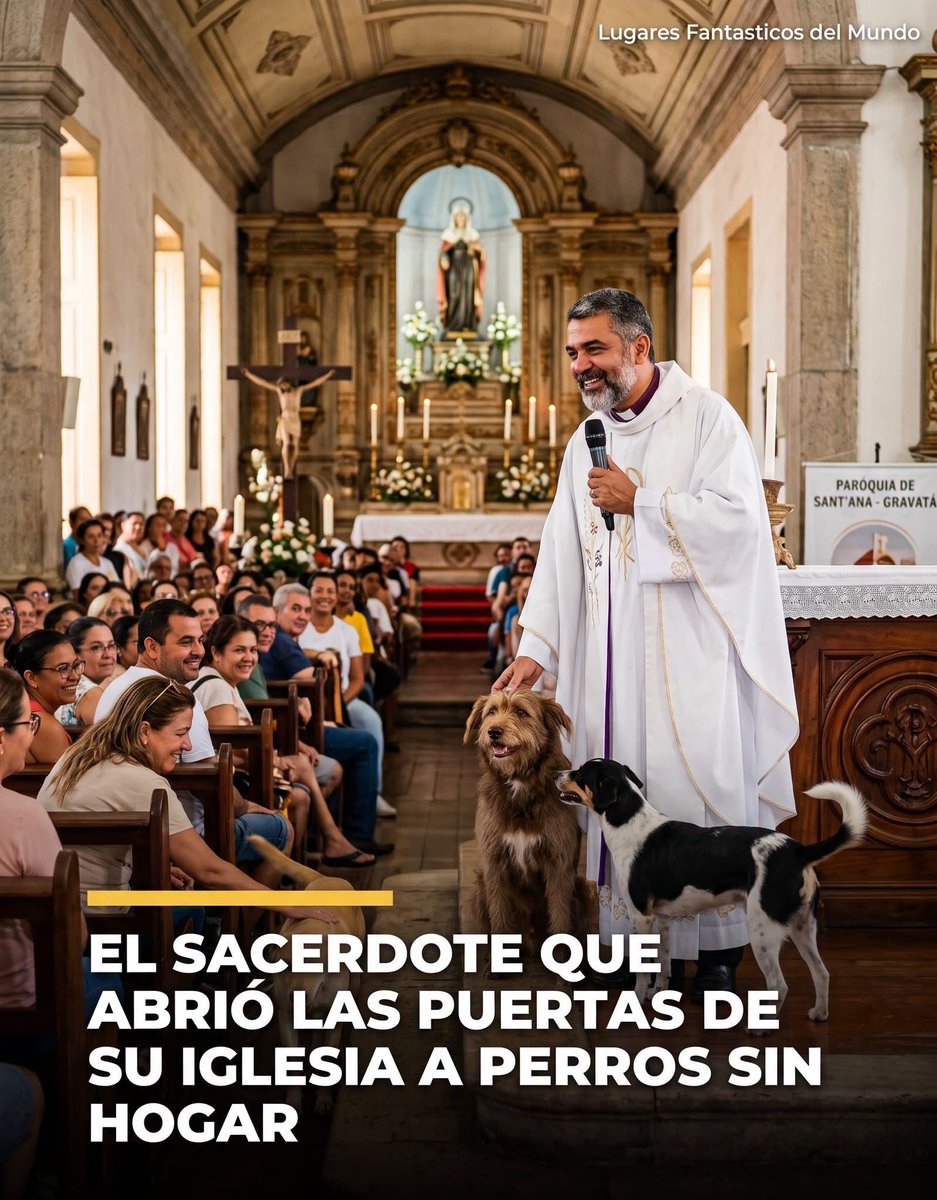 rodolf_guajardo's tweet photo. HOLA! HAGAMOS FAMOSO A ESTE SACERDOTE QUE DEJA QUE LOS PERRITOS ENTREN Y DUERMAN EN LA IGLESIA! Cuánto le das del 1 al 10? 
Seguime para más: @rodolf_guajardo

#dog #rodyguajardo #VenezuelaNoEstáSola https://t.co/MdQJXrdZYa