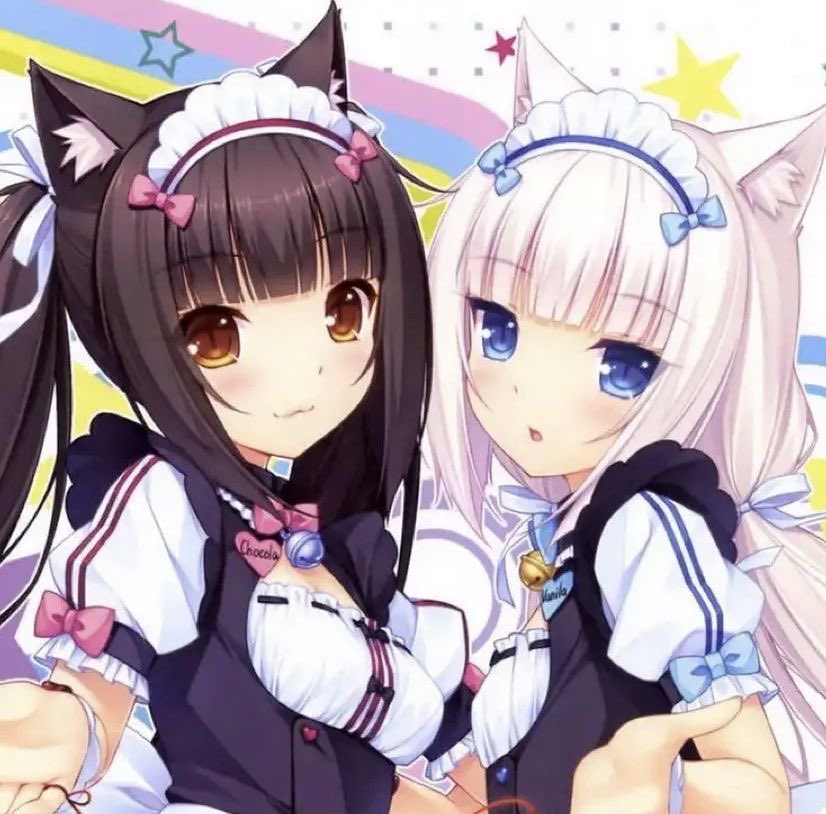 hislittlemnstr's tweet photo. HAPPY BIRTHDAY TO M GIRLS MEOWW https://t.co/W6eyjrXsfu